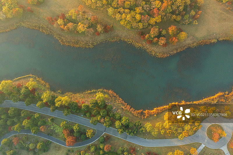 张家港香山湖清晨日出岛屿秋色蓝天绿水黄色的树林图片素材