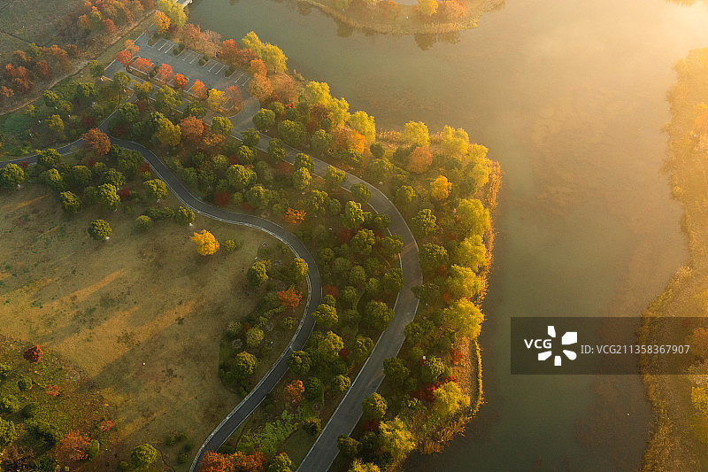 张家港香山湖清晨日出岛屿秋色蓝天绿水黄色的树林图片素材