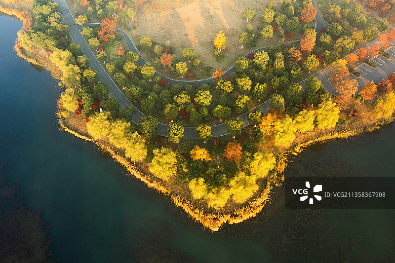 张家港香山湖清晨日出岛屿秋色蓝天绿水黄色的树林图片素材