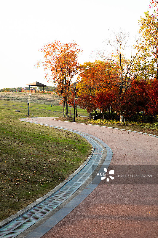 张家港香山苏州秋色湖泊树图片素材
