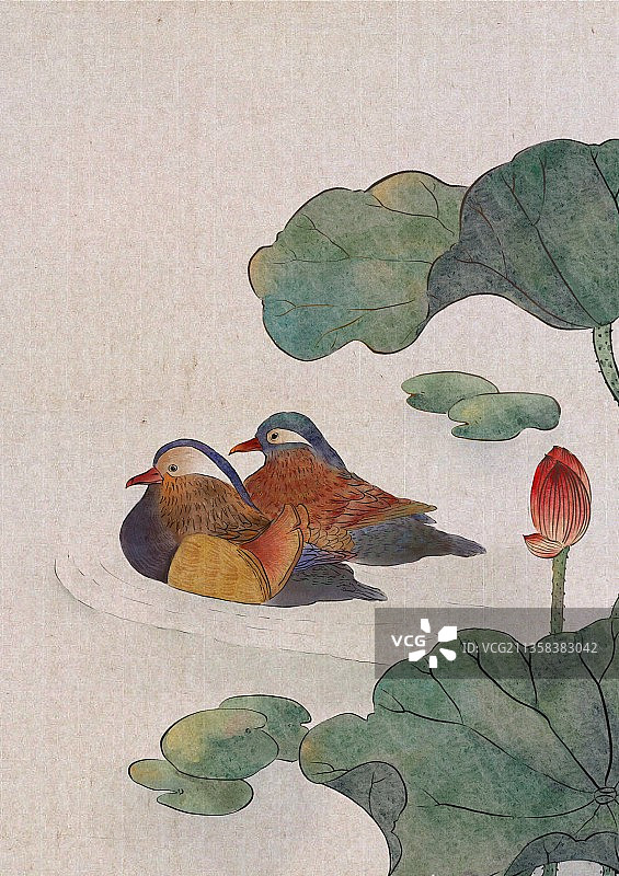 鸳鸯工笔图片素材