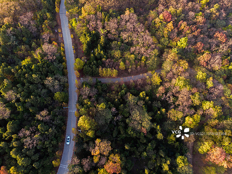 安徽省蚌埠市五河县大巩山森林秋天航拍图片素材