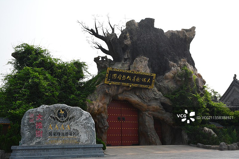 山西洪洞大槐树图片素材