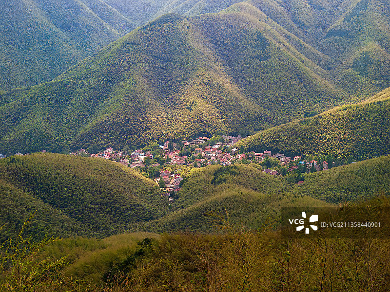 无锡宜兴竹海图片素材