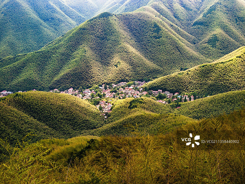 无锡宜兴竹海图片素材