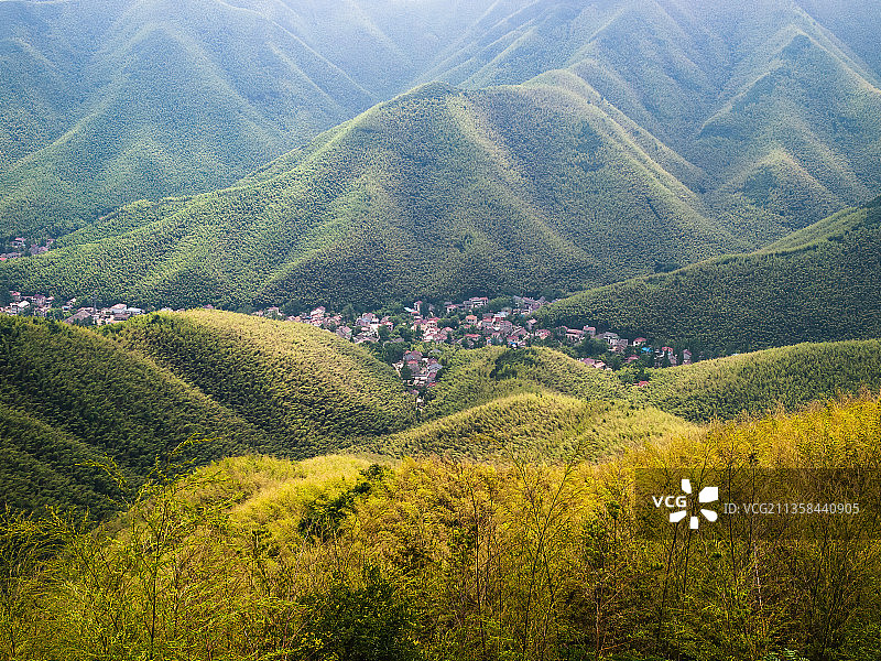 无锡宜兴竹海图片素材