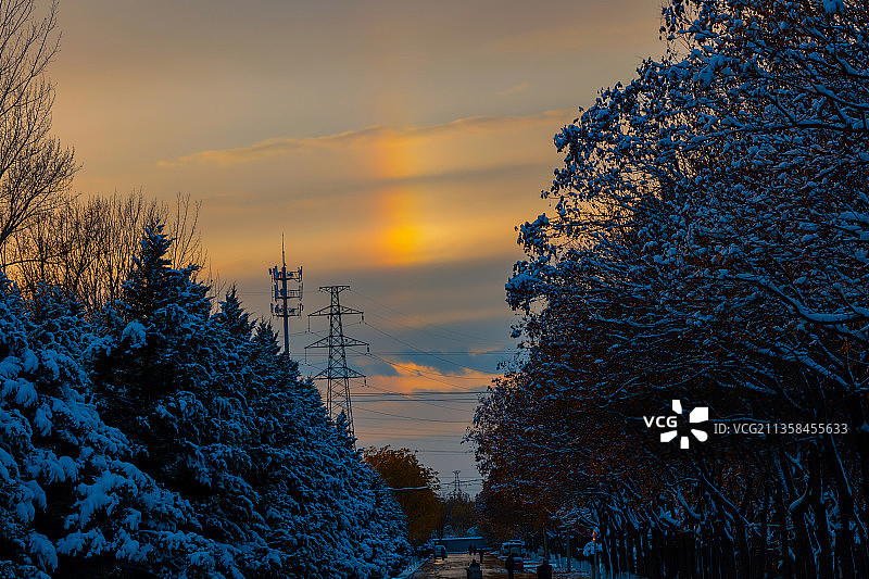 彩虹与雪松图片素材