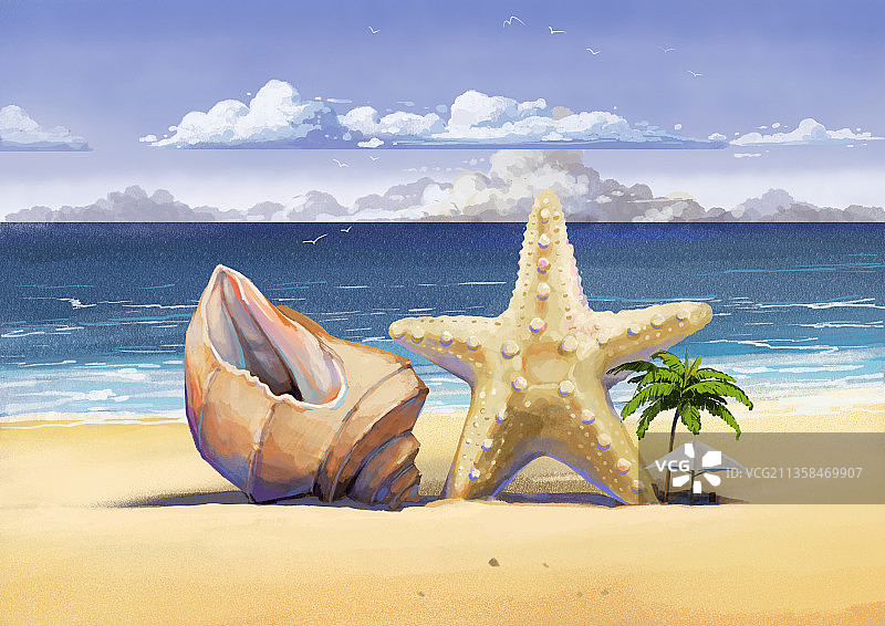海滩海螺壳海星沙滩风景图片素材