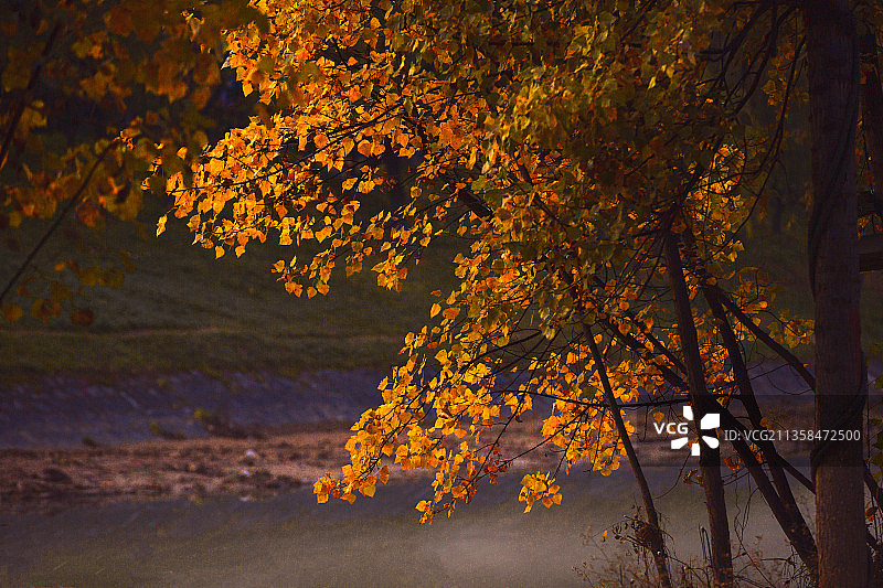西安秋色风景  浐河秋色图片素材