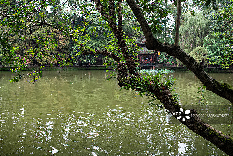 罨画池图片素材