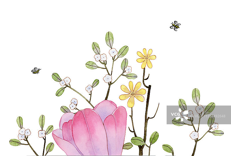花卉图片素材