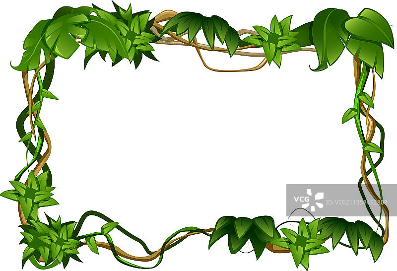 矩形藤本植物框架构图图片素材