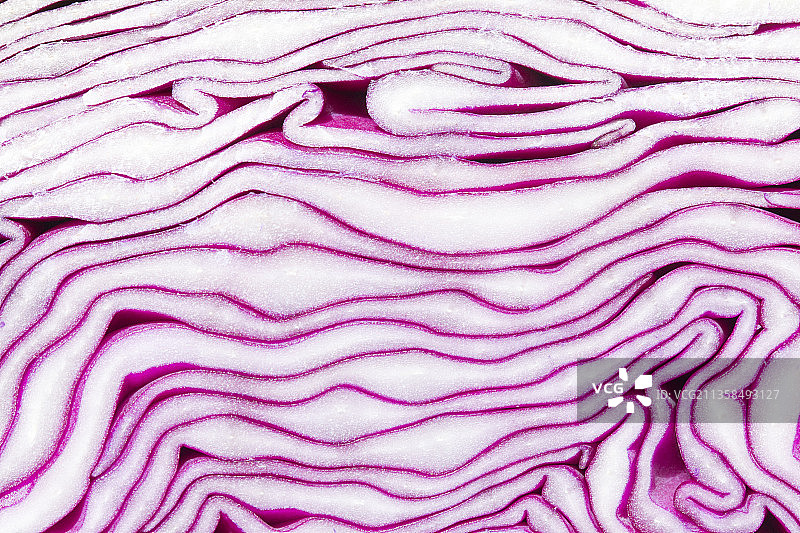 紫色甘蓝图片素材