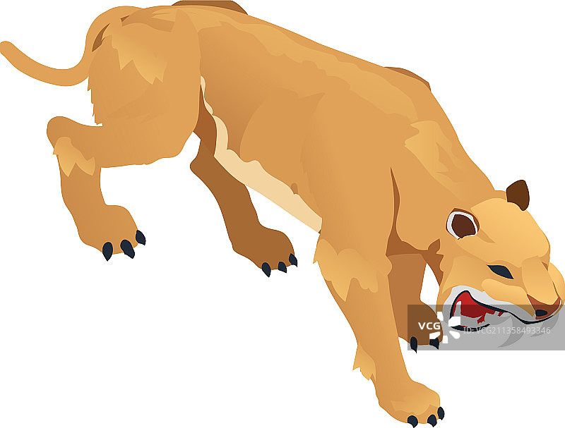 剑齿虎构成图片素材