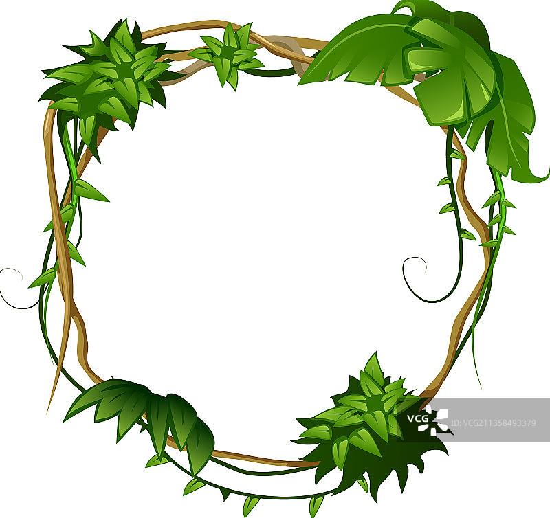 圆形藤蔓框架构图图片素材