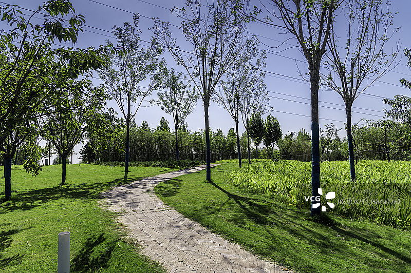 西安沣河河堤绿道图片素材