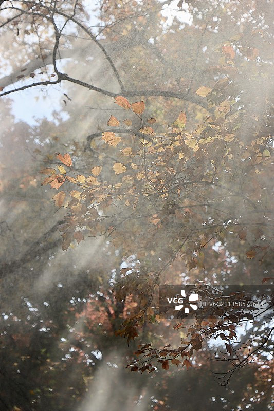 苏州天平山图片素材