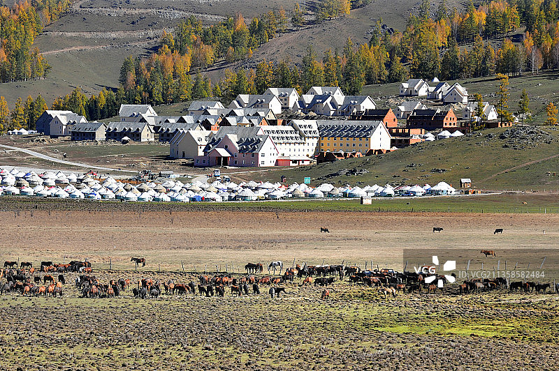 新疆阿勒泰，喀纳斯风光图片素材