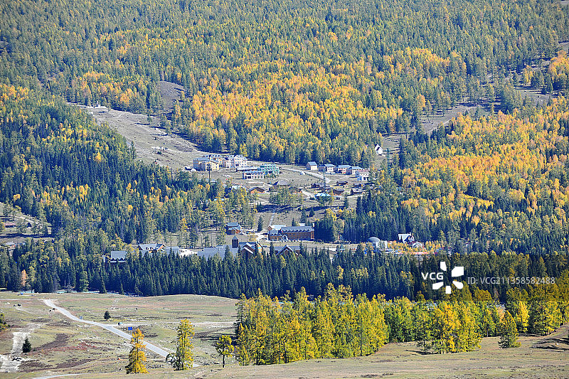 新疆阿勒泰，喀纳斯风光图片素材