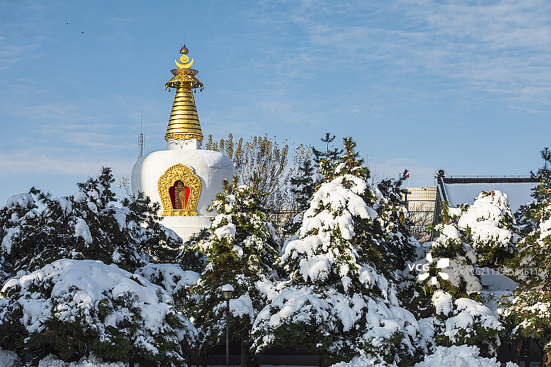 雪后的沈阳城建筑图片素材