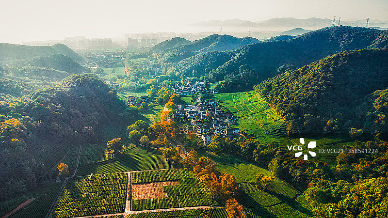 航拍杭州云栖竹径茶园和梵村清晨图片素材