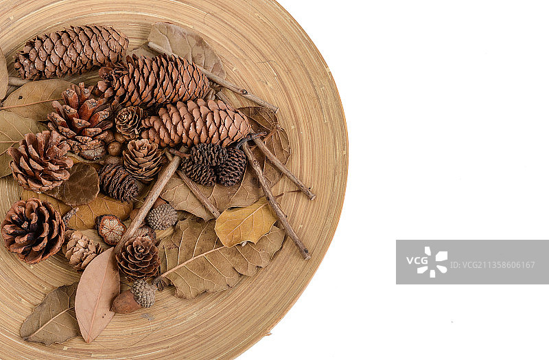 秋天森系树叶树枝松果复古背景图片素材