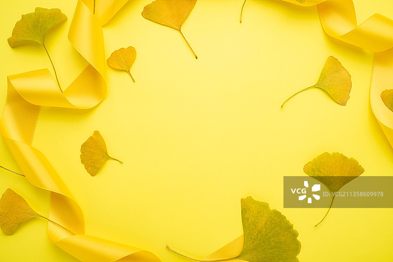 银杏叶黄色丝带时尚海报背景素材图片素材