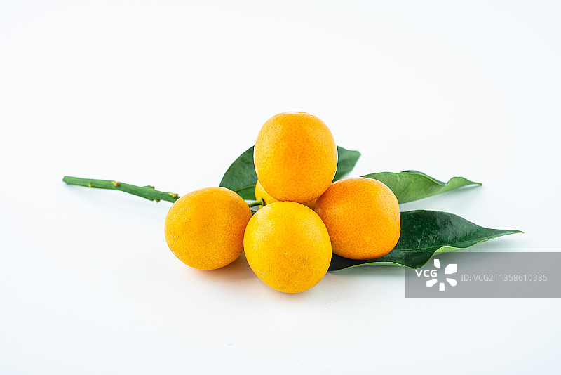 白背景上的新鲜水果金桔图片素材