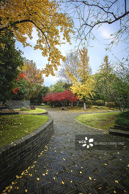 绿博园秋色+南京图片素材