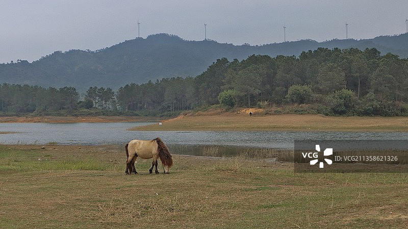 江门台山——寻皇大草原图片素材