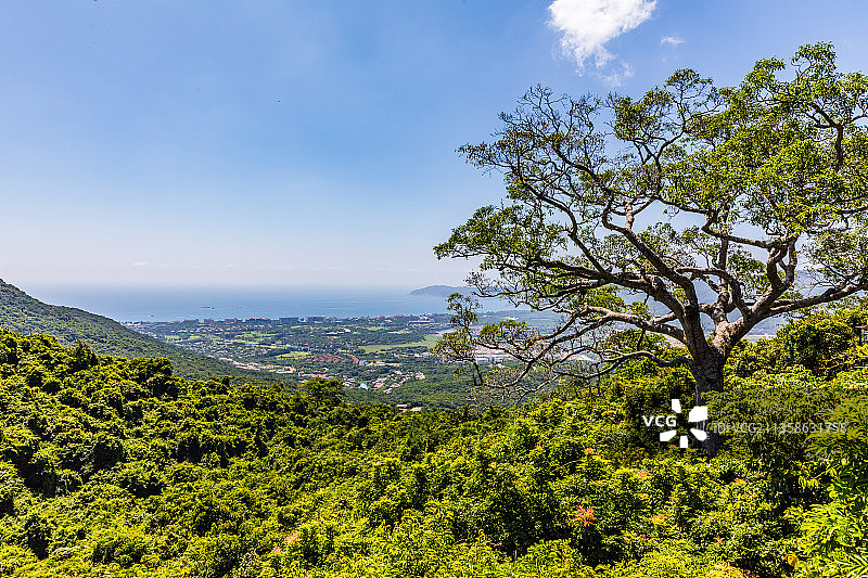 海南三亚亚龙湾热带天堂森林公园图片素材