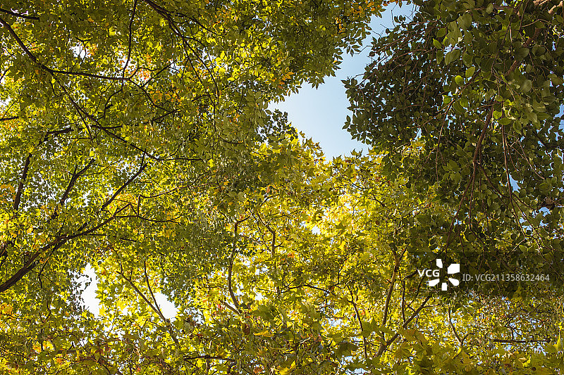 武汉莲花湖公园图片素材