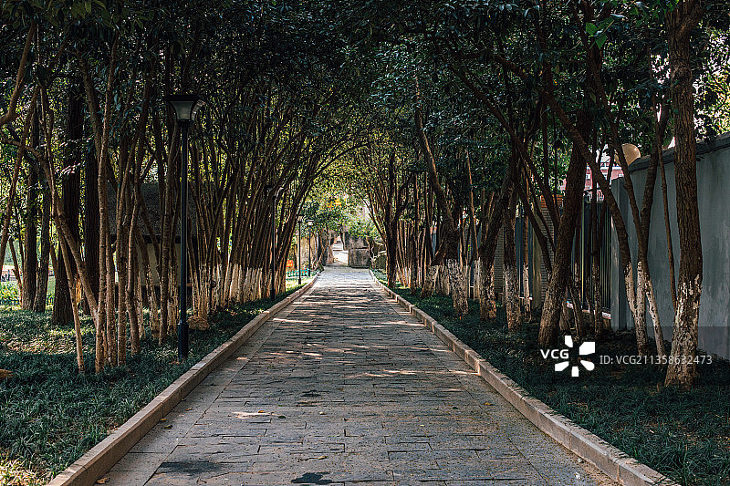 武汉莲花湖公园图片素材