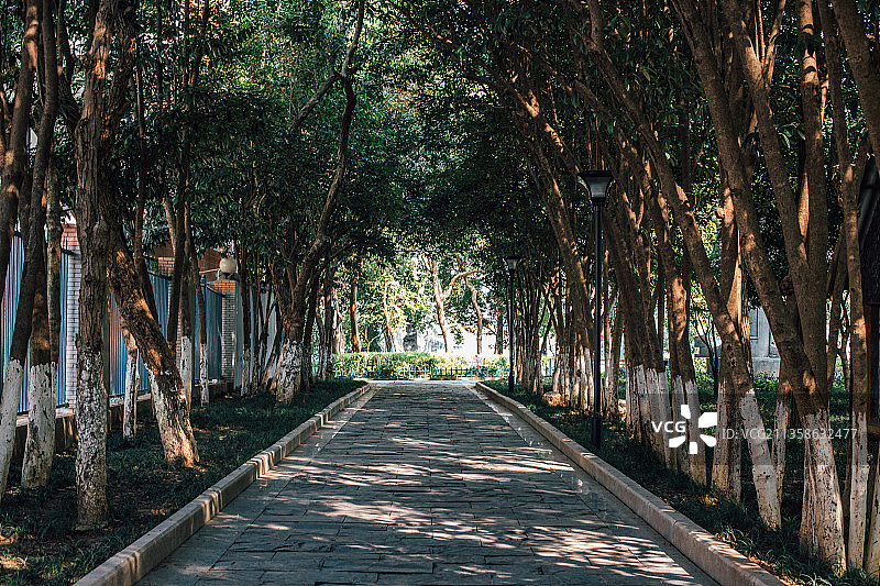 武汉莲花湖公园图片素材