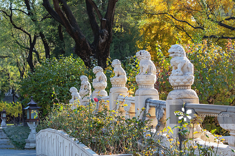 秋染紫禁城图片素材