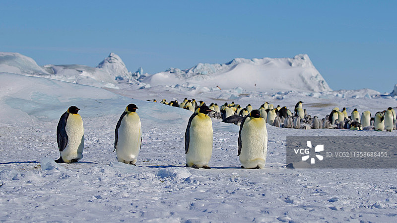 列队欢迎图片素材