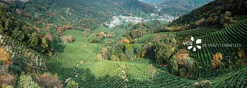 龙井村图片素材
