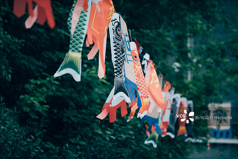 日本,,鲤鱼旗,风筝,锦鲤图片素材