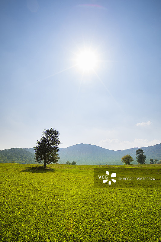 自然美景图片素材