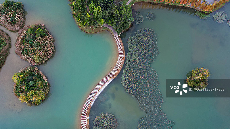 云南省红河哈尼族彝族自治州弥勒市湖泉生态园冬季风光图片素材