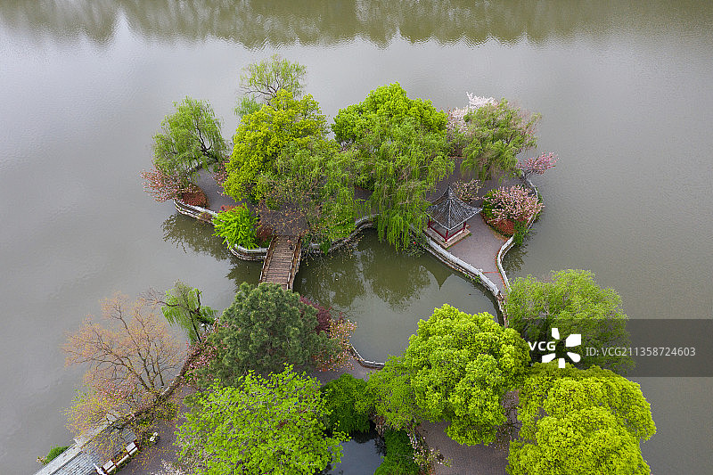 九江甘棠公园湖心岛春色图片素材