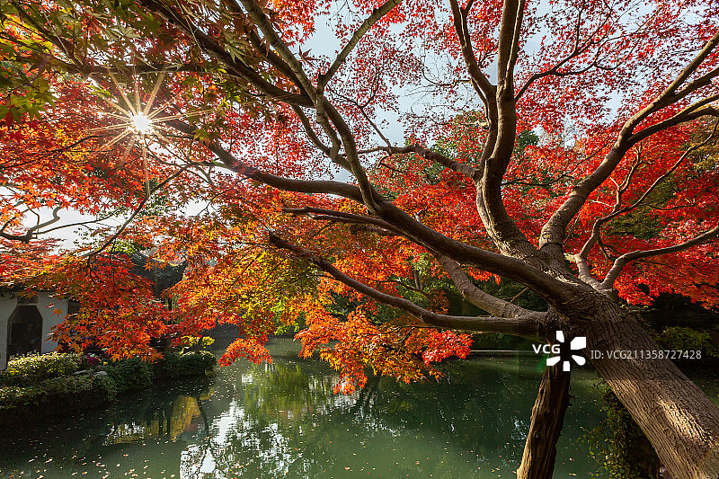 江南园林中国江苏省无锡市锡惠胜境寄畅园秋色图片素材