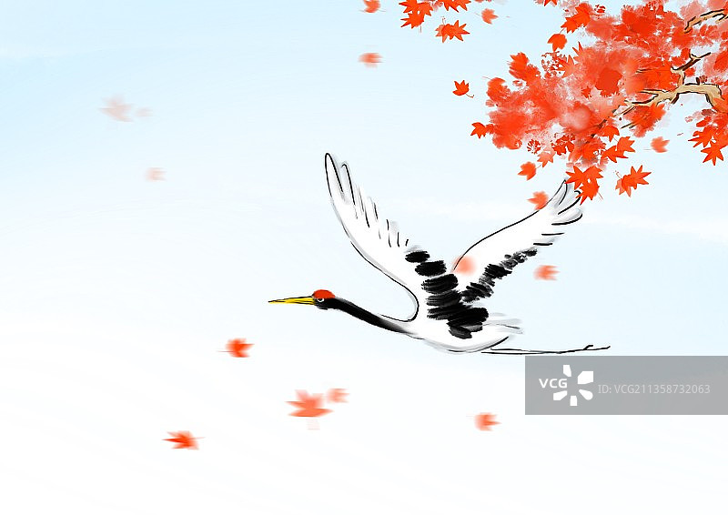 秋天红叶仙鹤飞翔图片素材