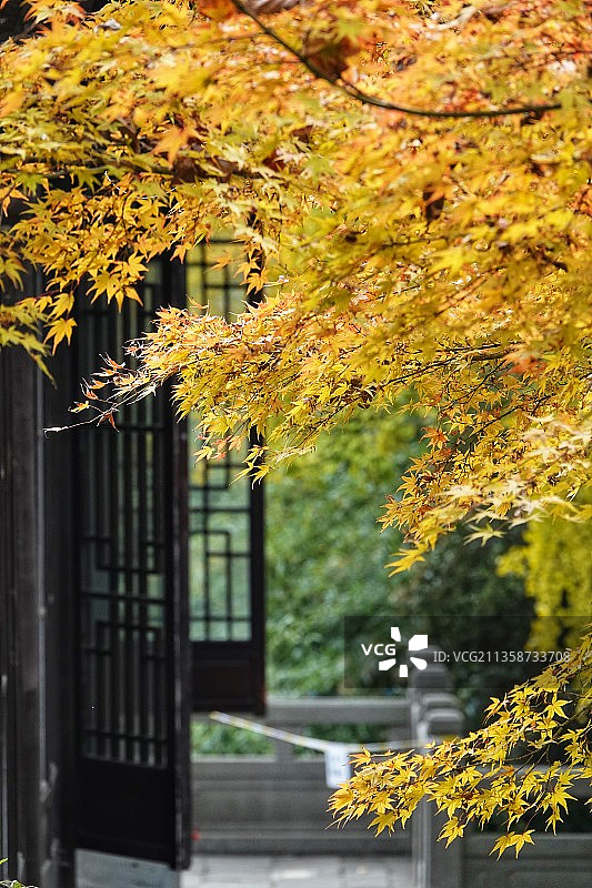 清凉山之秋图片素材