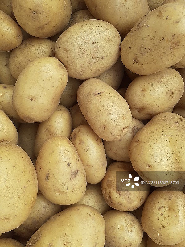马铃薯图片素材