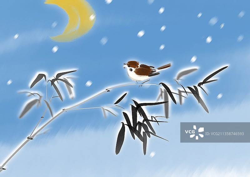 冬天节气竹子麻雀大雪小寒图片素材