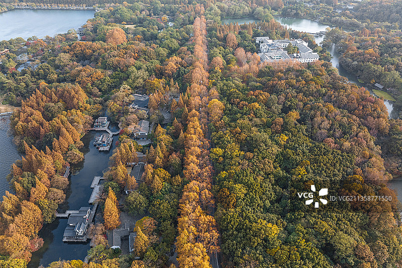 杭州西湖杨公堤秋日风光航拍图片素材