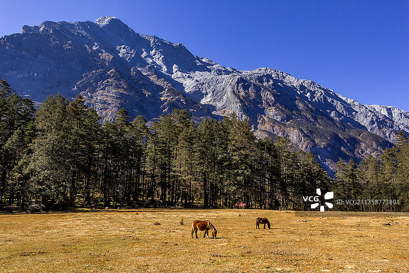 清晨的玉龙雪山图片素材
