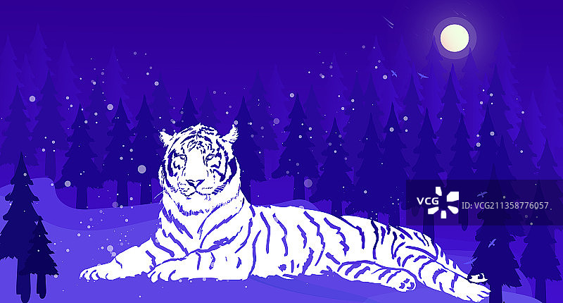 下雪的冬天户外森林里老虎在雪地上插画图片素材