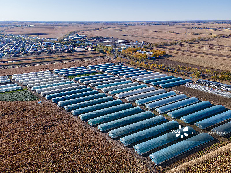 航拍农田里成排的大棚，秋季蔬菜大棚图片素材